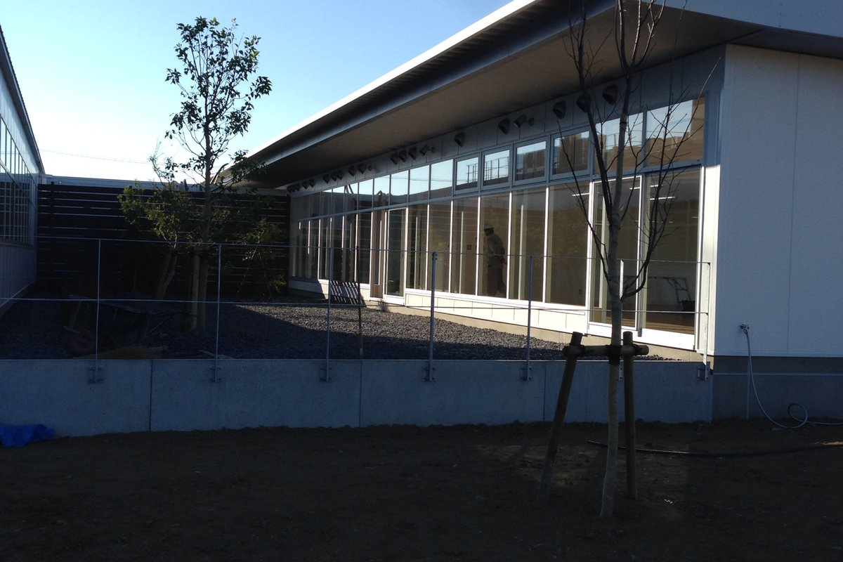 タマムラデリカ